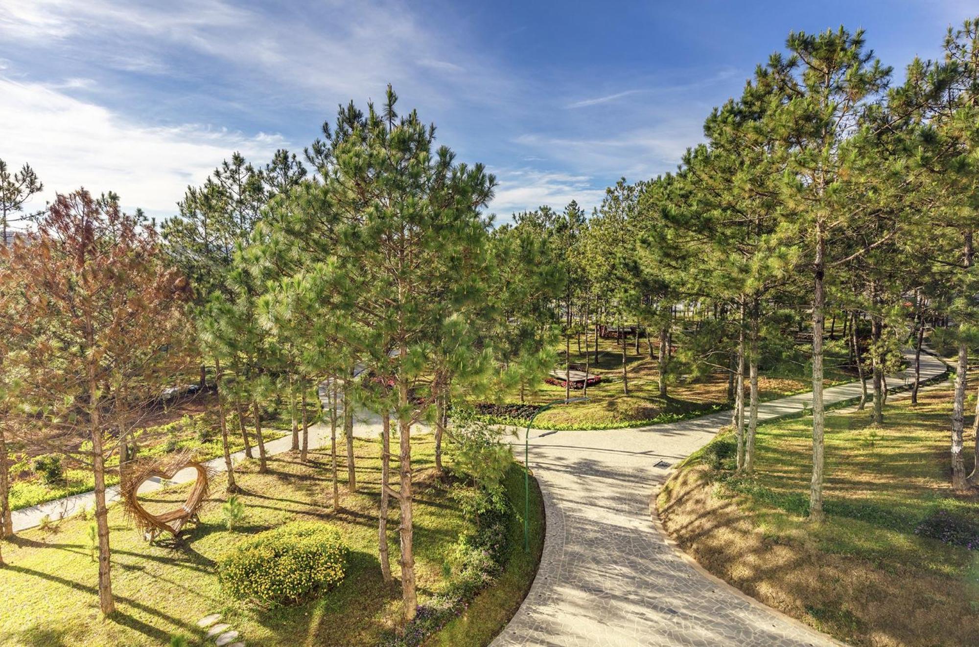 Rừng Lá Kim Resort Da Lat Esterno foto